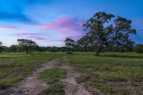 TBD Schoenst Road, Carmine, TX 78932