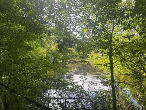 N/A CHINCOTEAGUE RD, WALLOPS ISLAND, VA 23337