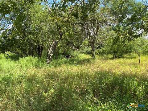 Tbd County Road 1144, Sinton, TX 78387