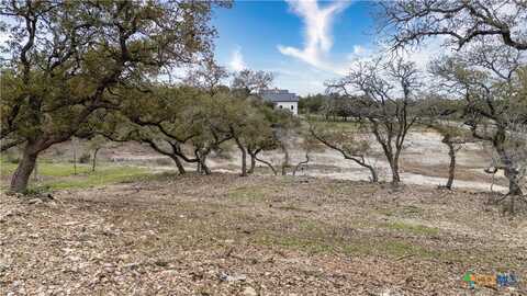 2209 Deer Run Ridge, New Braunfels, TX 78132