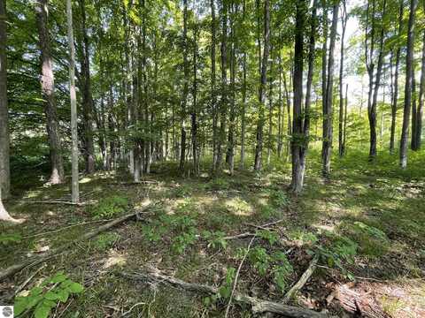 17+/-ACRES Marsh Road, Kingsley, MI 49649