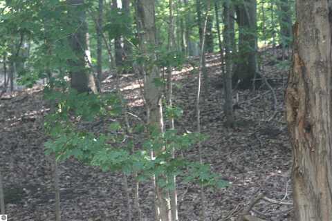 Lot 20 Crystal View Commons, Beulah, MI 49617
