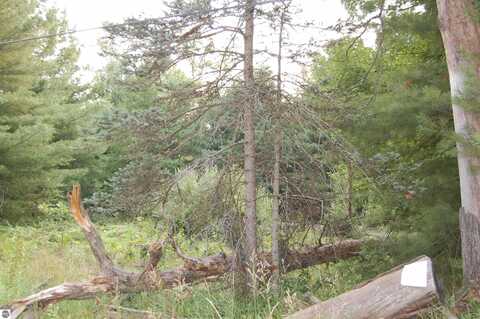 LOT 9 Dorothy Drive, Prescott, MI 48756