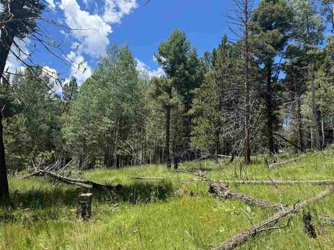 Lot 44 Calle de los Indios, Angel Fire, NM 87710