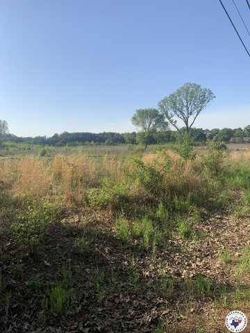 4.94 Acres Mount Olive, Texarkana, AR 71854