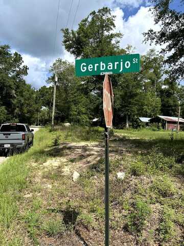 Gerbarjo Street, Sopchoppy, FL 32358