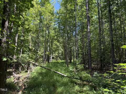 00 Stonehouse Court, Franklinton, NC 27525