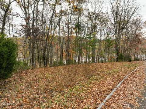 121 Pointe Drive, Piney Flats, TN 37686