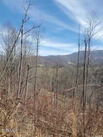 Tbd Miller Road, Trade, TN 37691