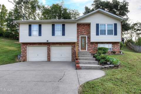 330 Heather Lane, Church Hill, TN 37642