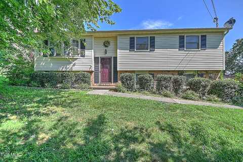 529 Old Gray Station Road, Johnson City, TN 37615
