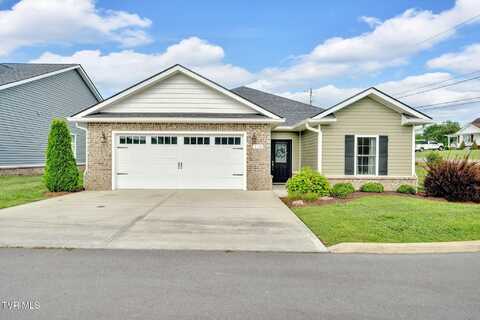 118 Gunners Way, Gray, TN 37615