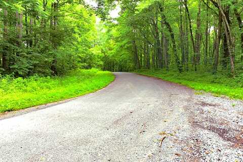 Haydenburg Rd, WHITLEYVILLE, TN 38588
