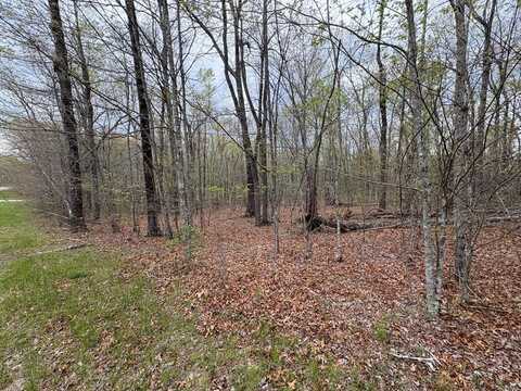 Lot 9 Cumberland Lakes Drive, MONTEREY, TN 38574