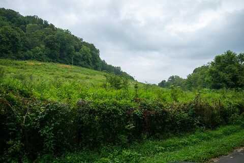137.01 Dry Creek Rd, Celina, TN 38551