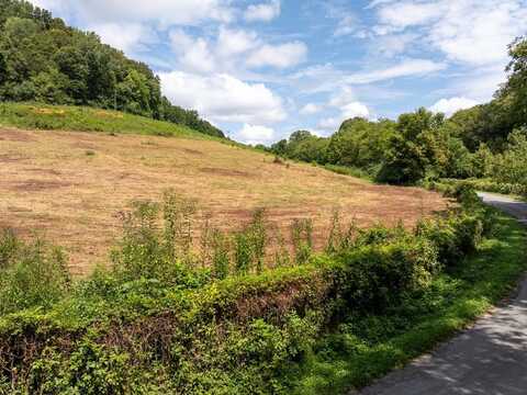 4125 Dry Creek Rd, Celina, TN 38551