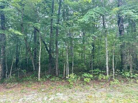 Cumberland Lakes Drive, MONTEREY, TN 38574