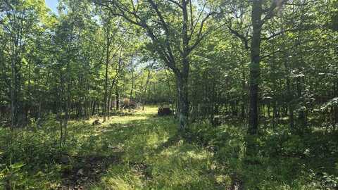 1021 Sedar Hill(Parcel C), Mohawk, MI 49950