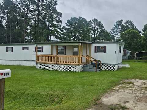 603 Briarcliff Dr, Nashville, GA 31639