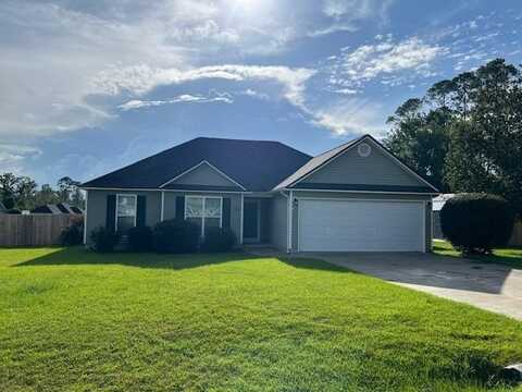 31 Palmetto Pines Lane, Ray City, GA 31645