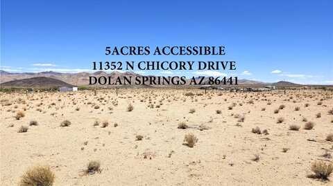 11352 N Chicory Drive, Dolan Springs, AZ 86441