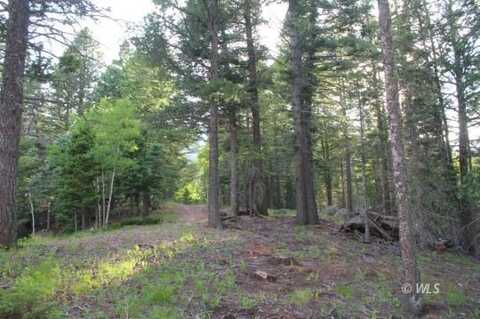 178 Simmons Rd, Rye, CO 81069
