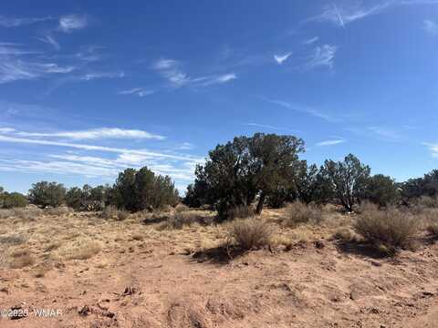 8362 Cupples Trail, Snowflake, AZ 85937