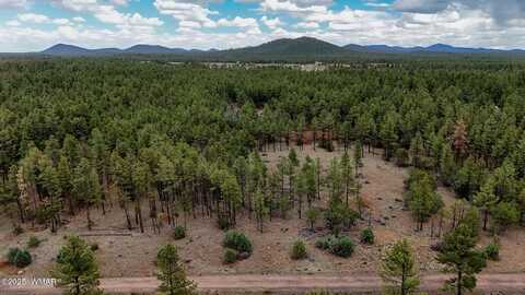 039f Dynamite Road, Lakeside, AZ 85929