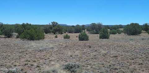 4247 E Pinto Road, Snowflake, AZ 85937