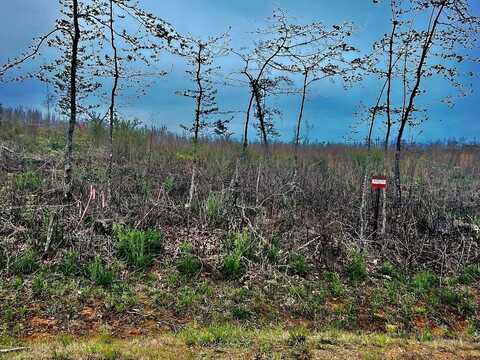 Tract B Co Rd 123, Wedowee, AL 36278