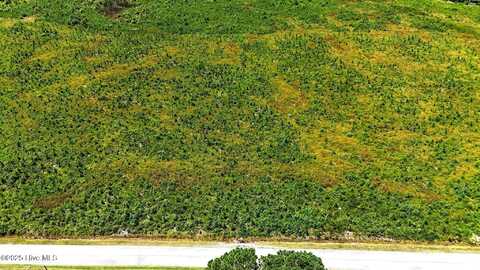 Tbd Cove Road, New Hope, NC 27944