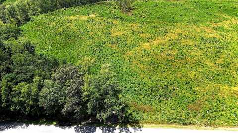 Tbd Cove Road, New Hope, NC 27944