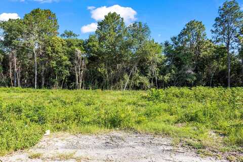 000 Walker Avenue SE, New Ellenton, SC 29809