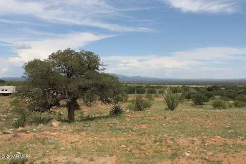 037 Desperado Drive, Hereford, AZ 85615