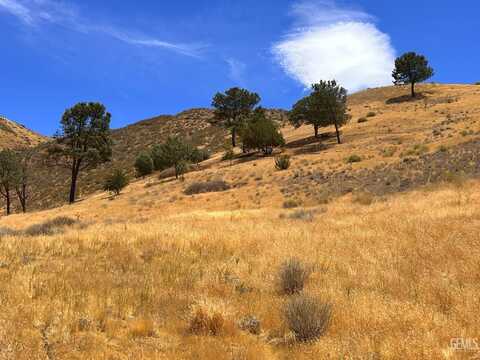 3200 Shadow Mountain Drive, Lake Isabella, CA 93240