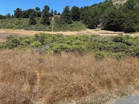 43601 Sea Cypress Drive, Manchester, CA 95459