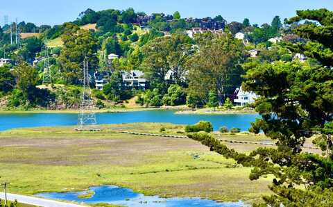 189 Morning Sun Avenue, Mill Valley, CA 94941