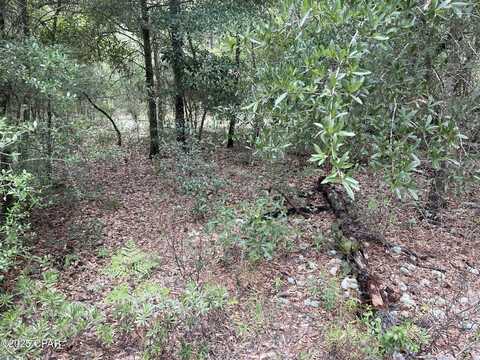Lot 37 Girard Court, Alford, FL 32420