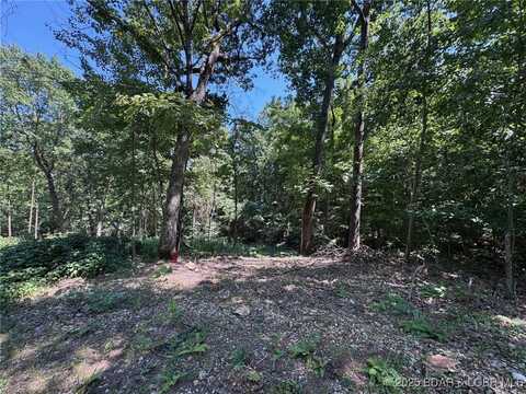 Tbd Lodge Drive, Edwards, MO 65326