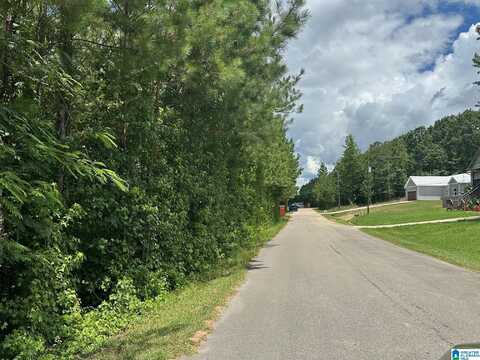 715 FALLVIEW LANE, ODENVILLE, AL 35120