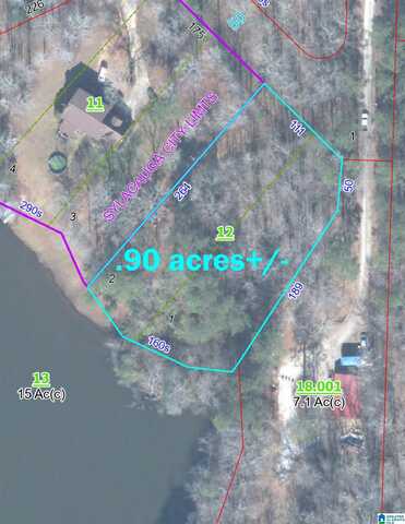 0 LAKE JOY ROAD, SYLACAUGA, AL 35150
