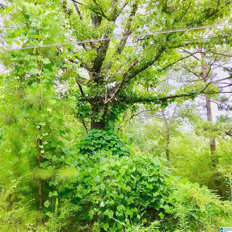 14548 HIGHWAY 280, CHELSEA, AL 35043