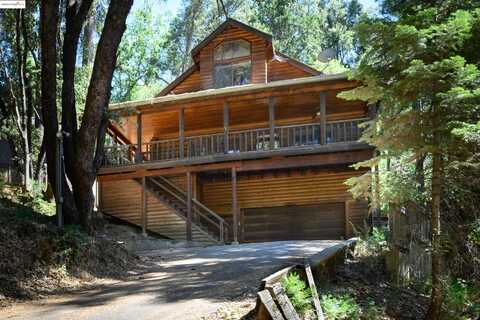 22511 Lilac Ln, Twain Harte, CA 95383