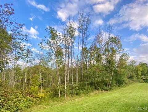 00 Trenton Road, Deerfield, NY 13502