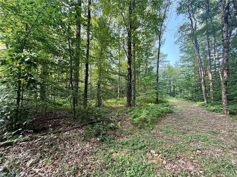11470 River Road, Florence, NY 13316
