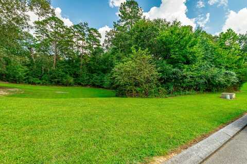 0 Jays Way, Ringgold, GA 30736
