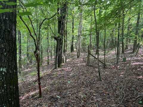 INDIAN MOUNTAIN TRAIL, HAMILTON, GA 31811