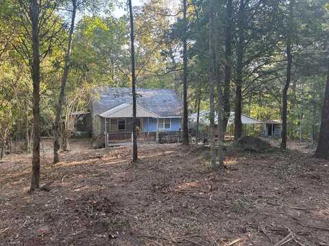 101 INDIAN MOUNTAIN TRAIL, HAMILTON, GA 31811