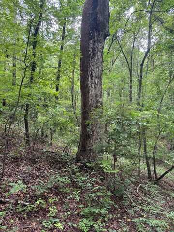 101 INDIAN MOUNTAIN TRAIL, HAMILTON, GA 31811