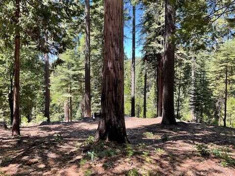 1619 Shoshone Drive, Dorrington, CA 95223
